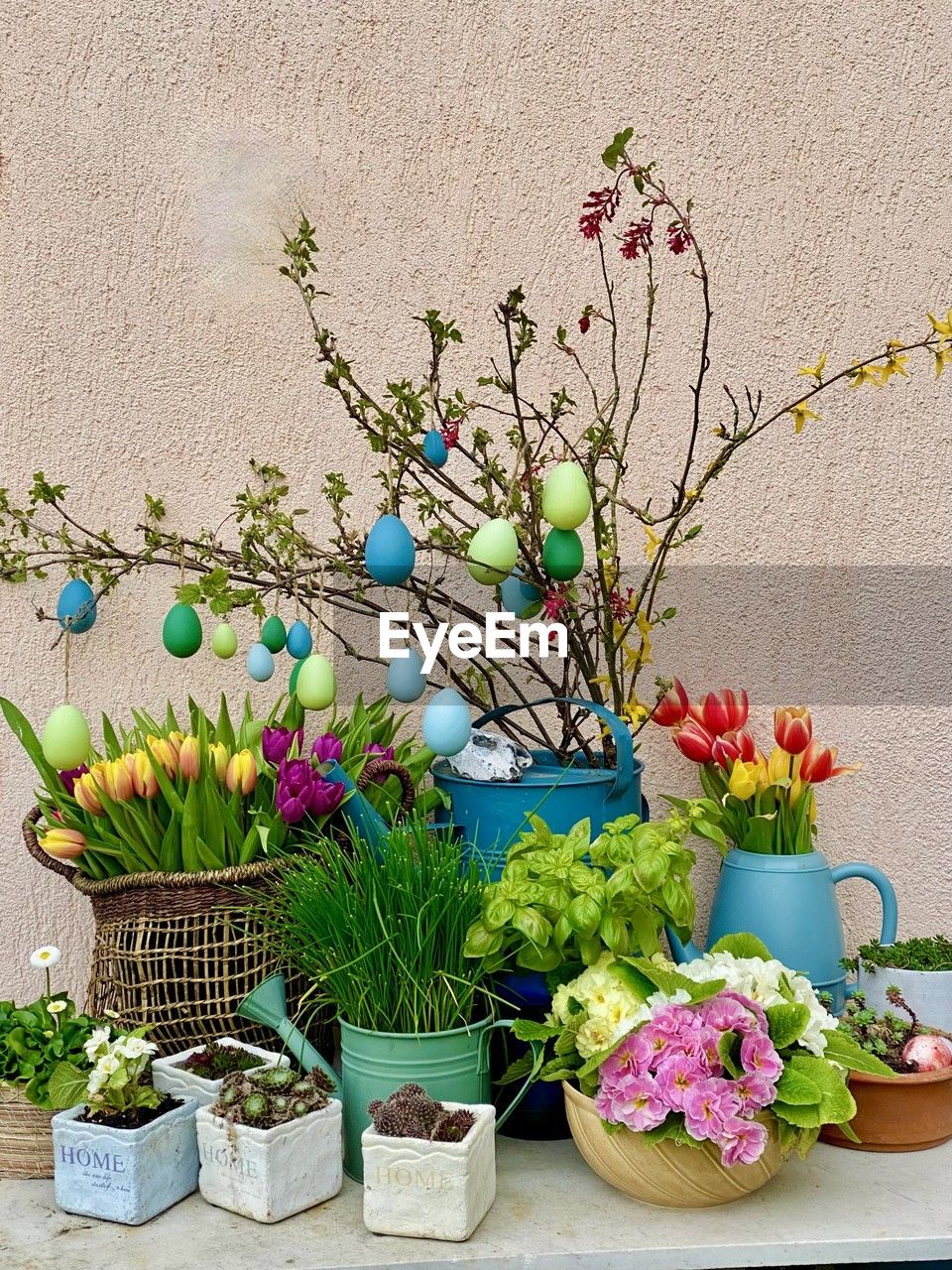 plant, floristry, flowering plant, flower, nature, floral design, freshness, no people, potted plant, decoration, growth, beauty in nature, flowerpot, wall - building feature, art, multi colored, arrangement, houseplant, day, ikebana, variation, outdoors, fragility, container, still life, food and drink, food, table, springtime, creativity, easter, green, flower arrangement, branch, easter egg