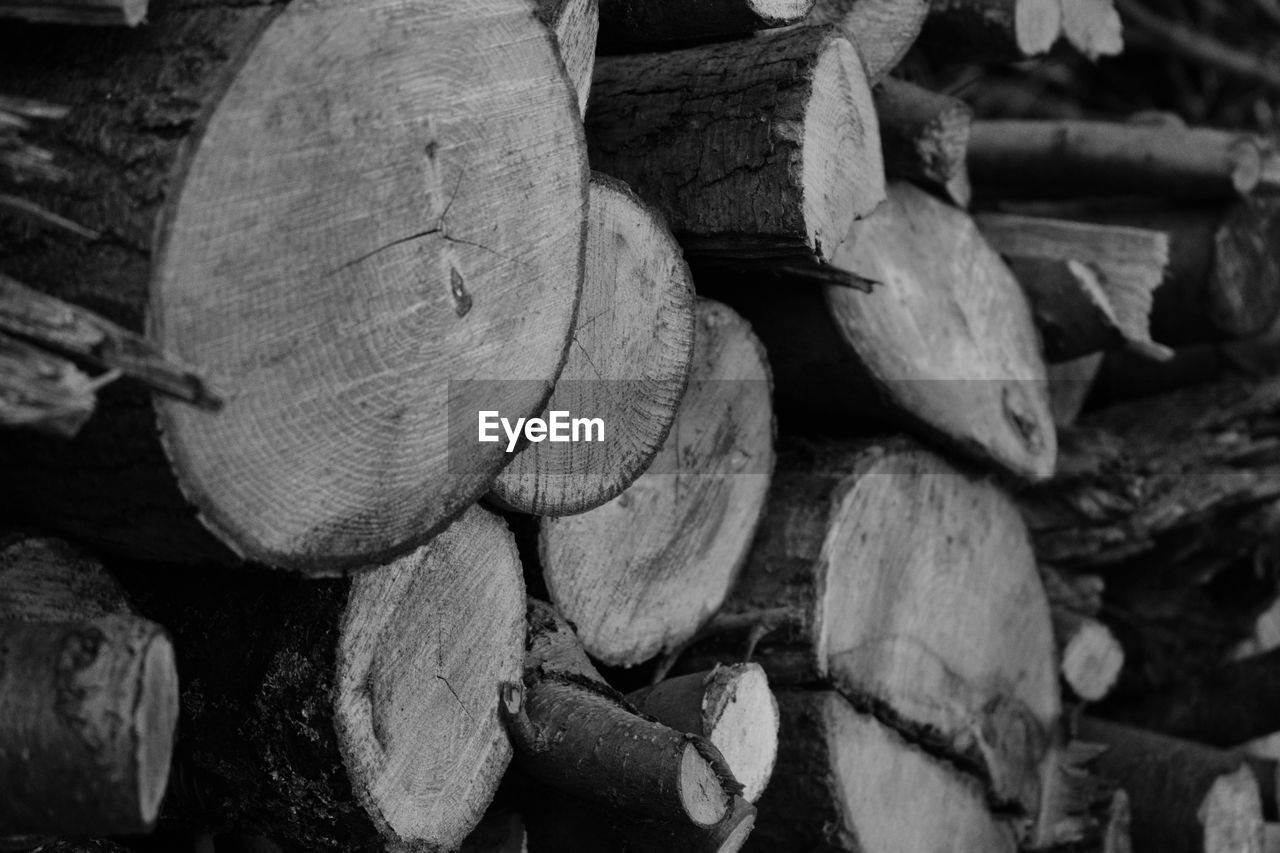 FULL FRAME SHOT OF FIREWOOD