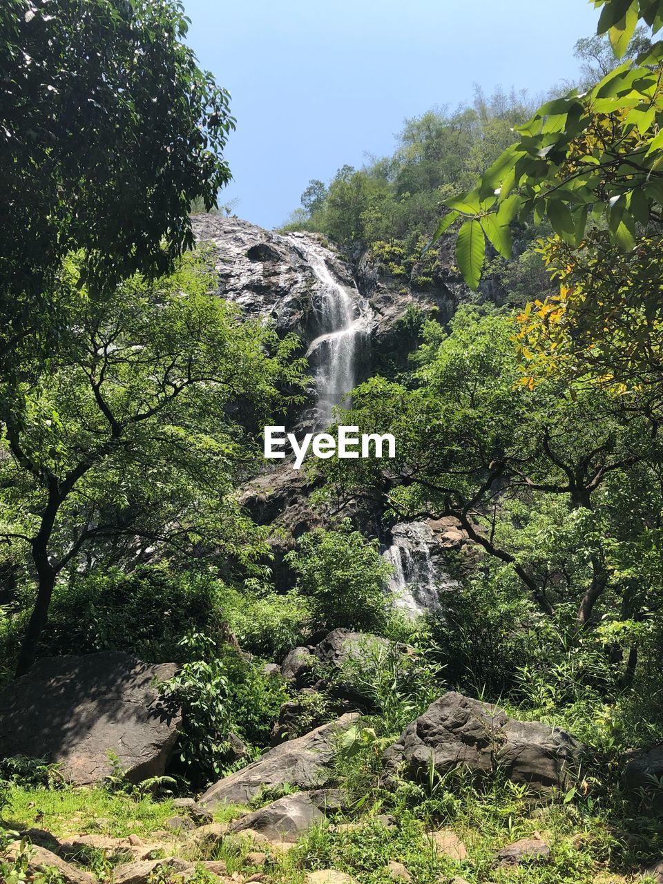 SCENIC VIEW OF WATERFALL