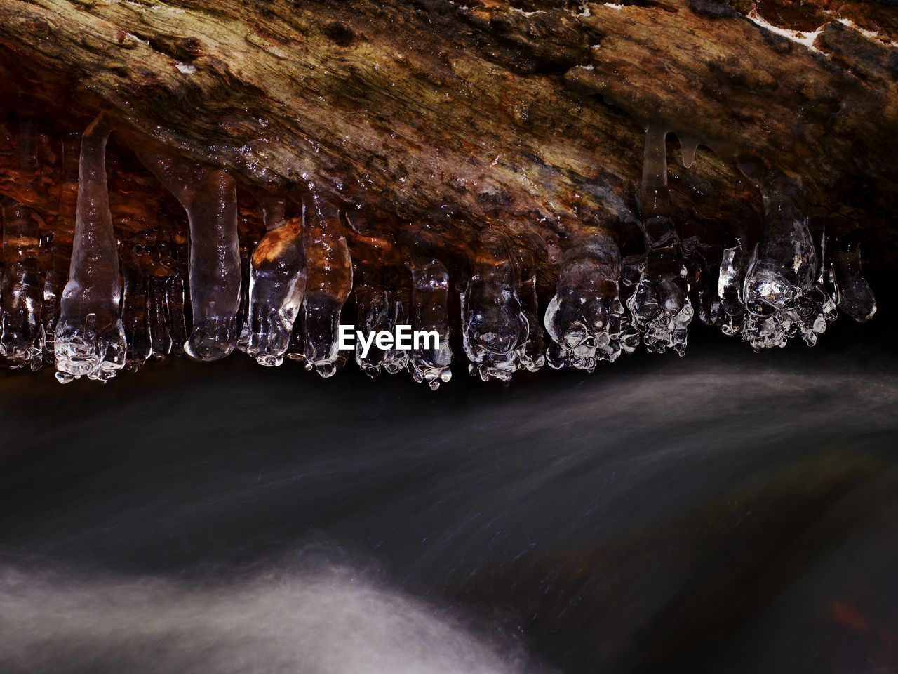 Icy branches above winter creek. bright reflections in icicles, blur  foam on water level. icy art