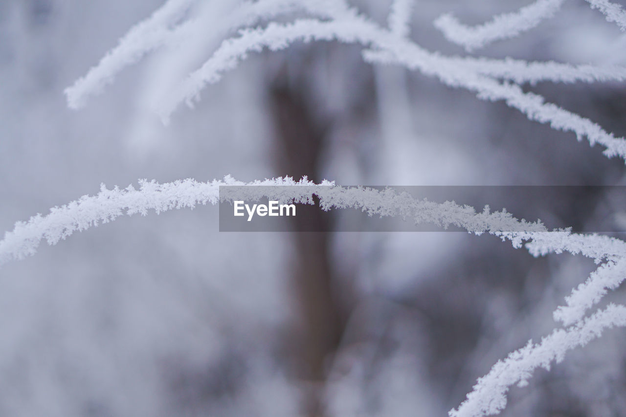 Rime at jilin,china