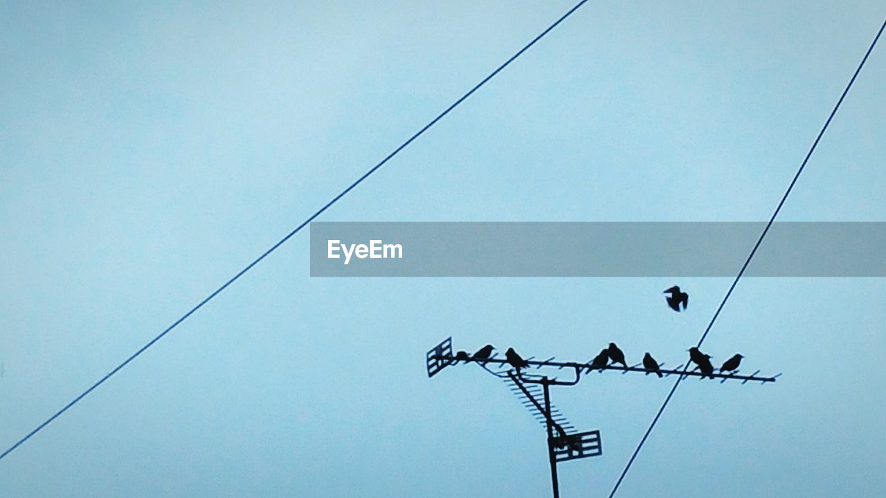 LOW ANGLE VIEW OF POWER LINES AGAINST SKY