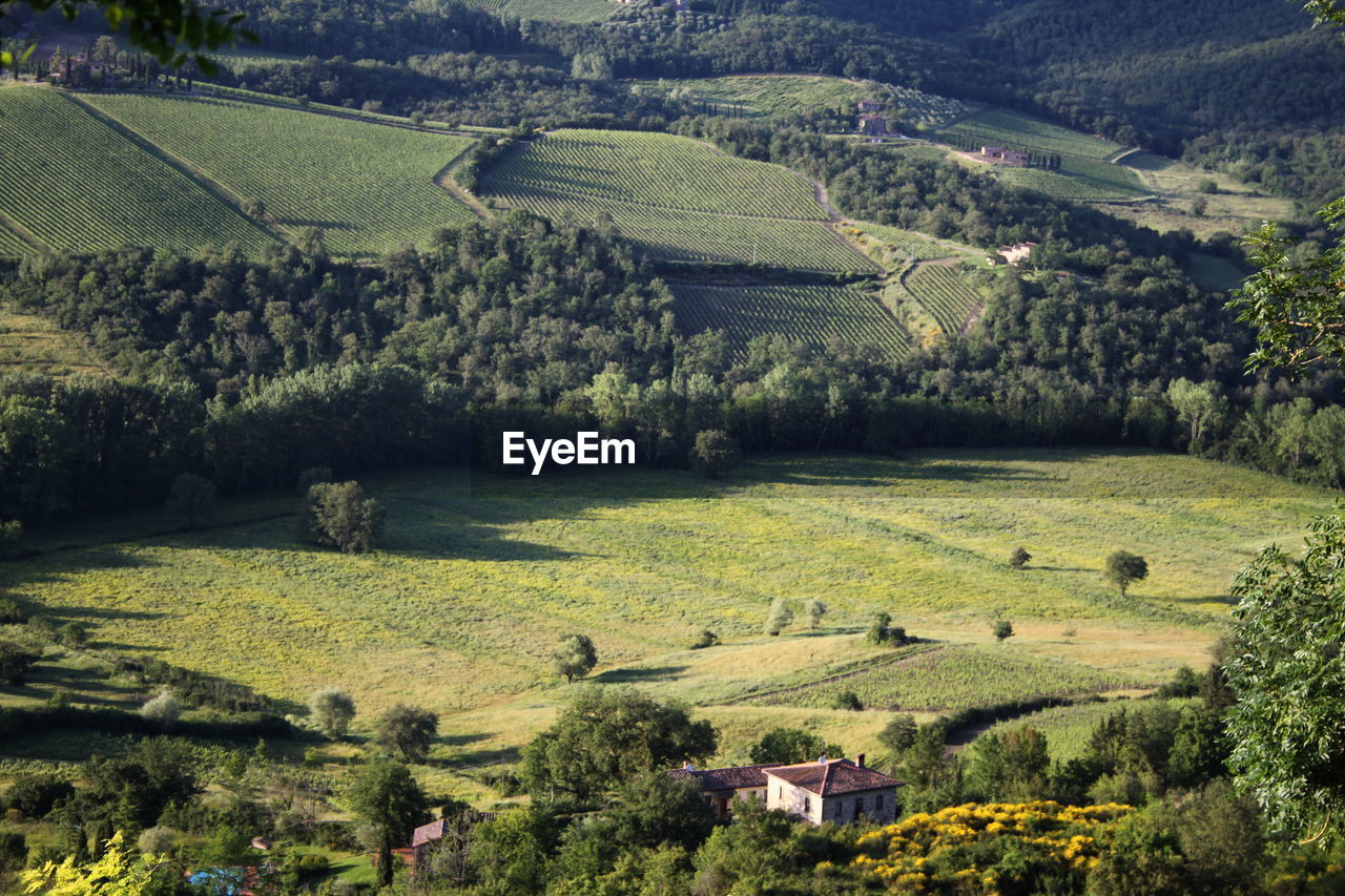 Scenic view of rural landscape