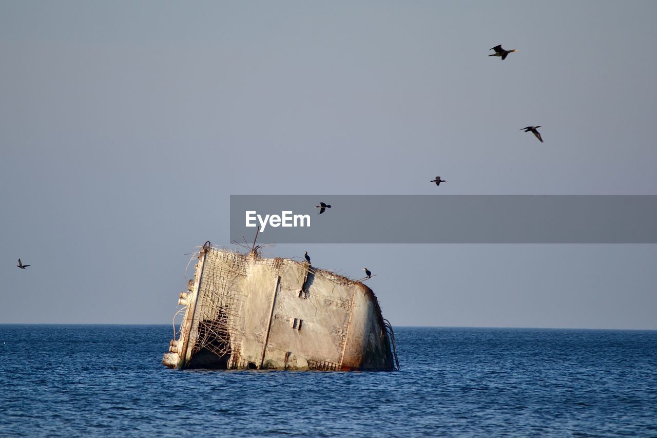 Scenic view of sea against clear sky. lady corlin ship wreck in baltic sea. 