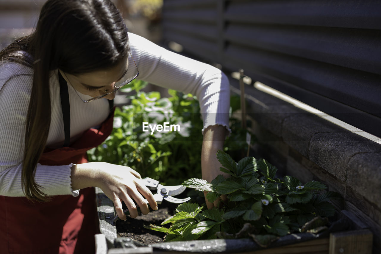 Young woman cutting plants