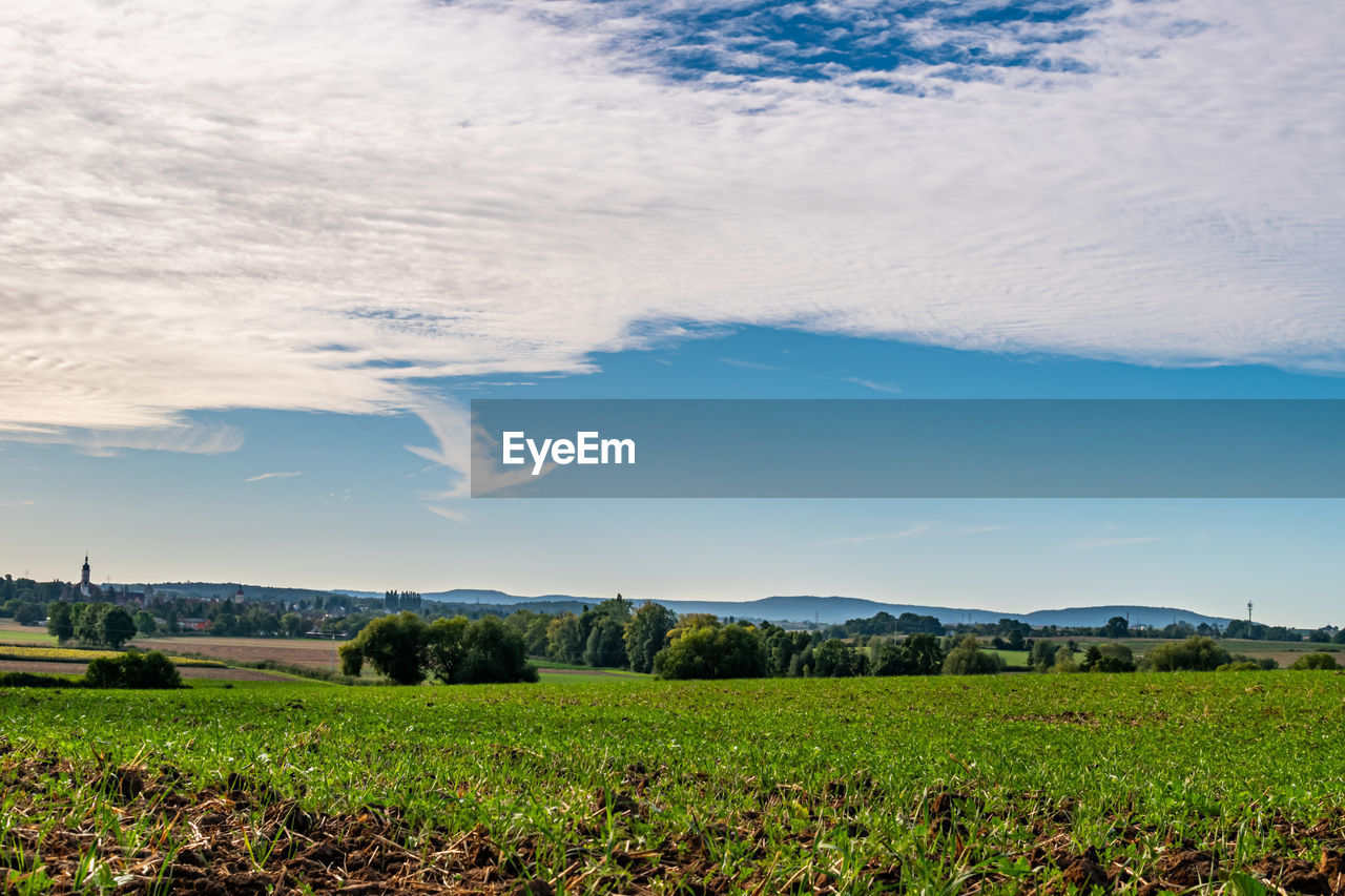 Scenic view of field against sky