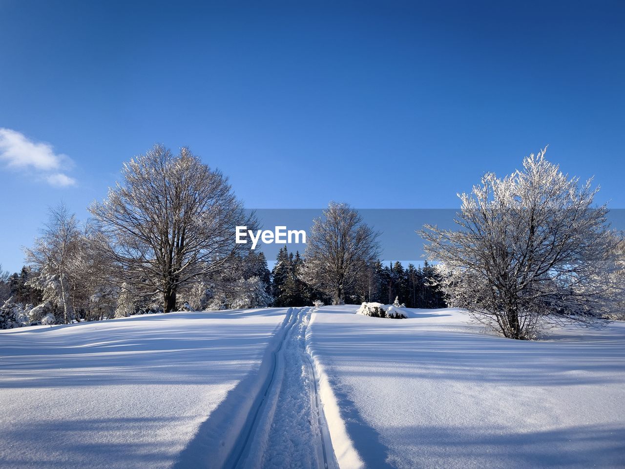 Road in the snow and trees covered in snow on a sunny winter day with blue sky