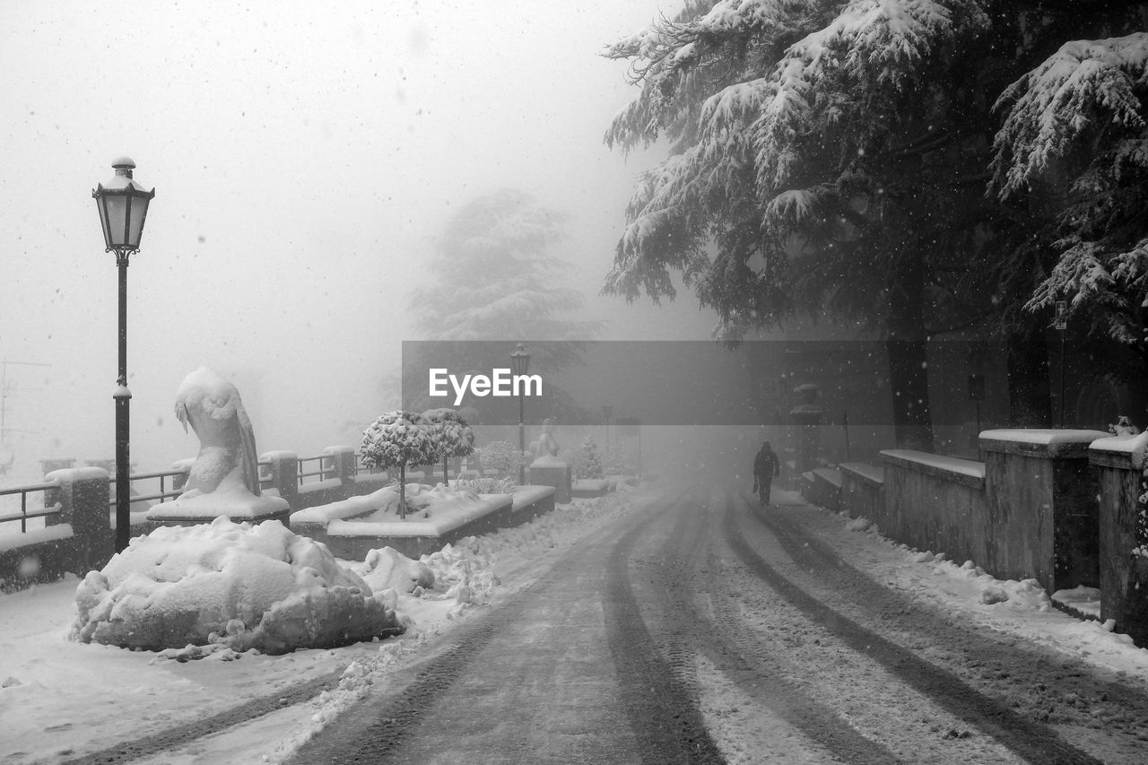 Snow covered trees against sky