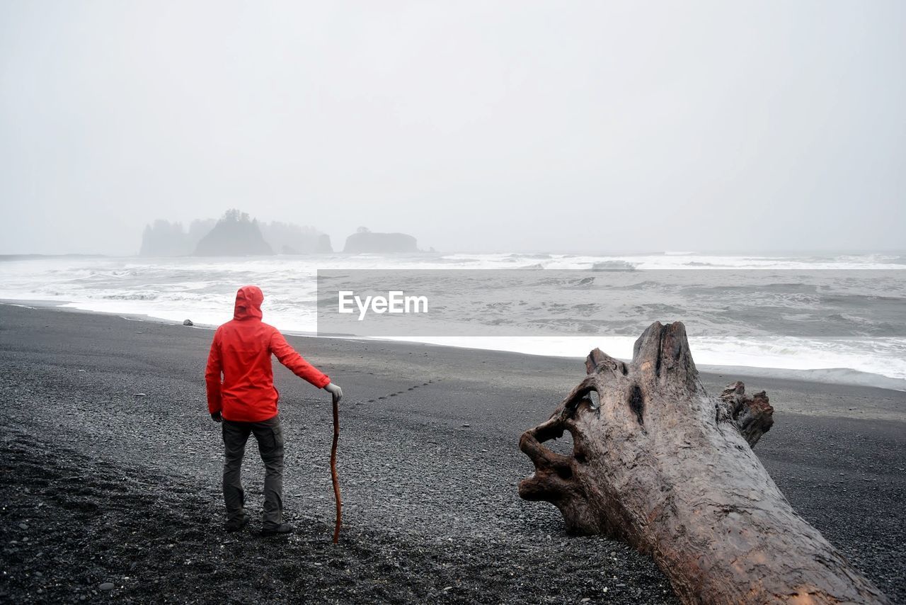 Man standing by dead tree at beach against sky
