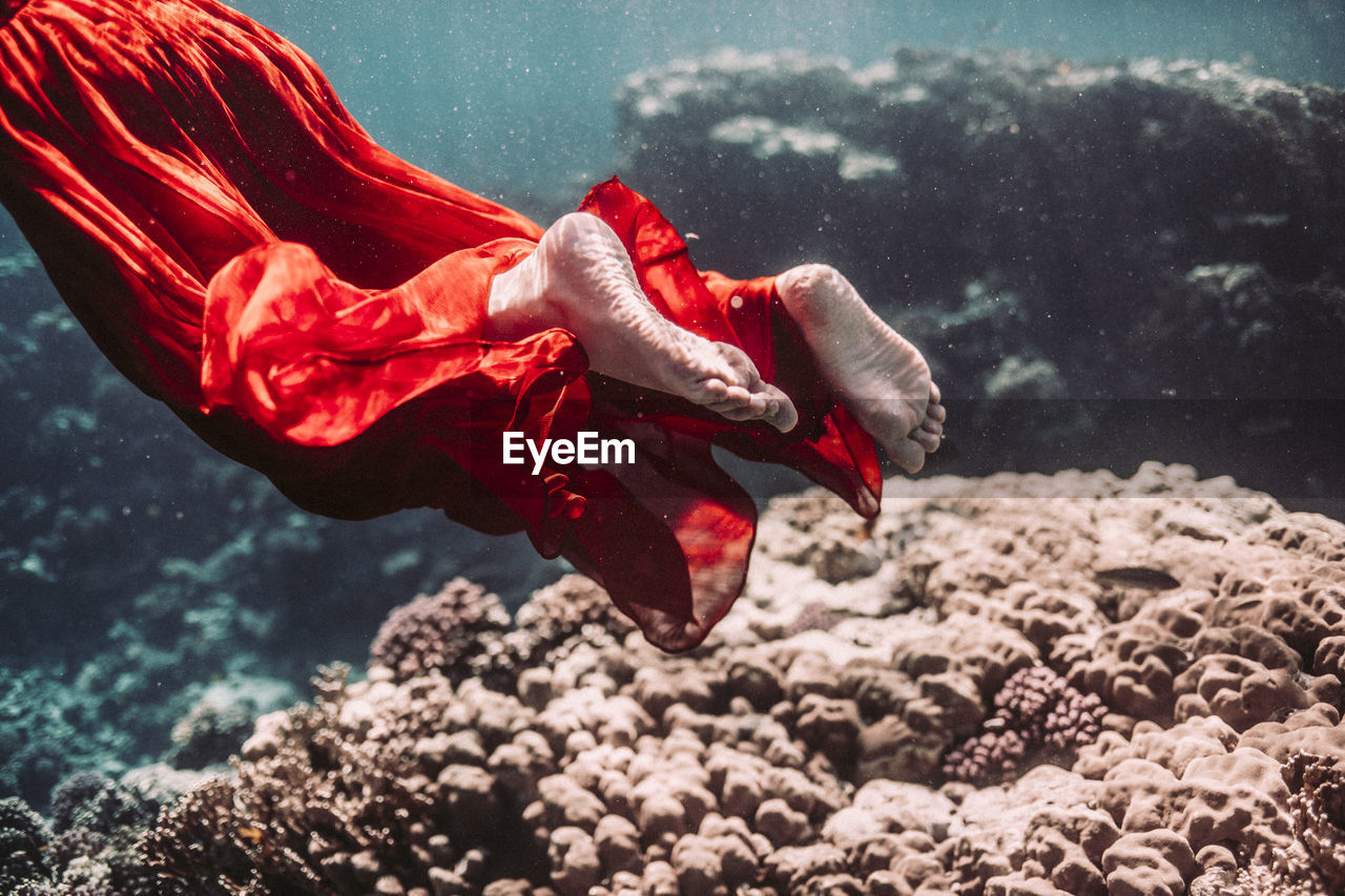 Close-up of the feet of a young woman in a red dress under water