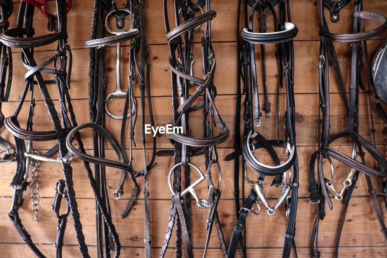 Saddles hanging on wooden wall