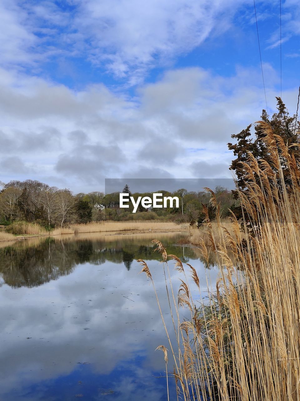 reflection, water, sky, cloud, nature, plant, grass, lake, tree, landscape, beauty in nature, scenics - nature, tranquility, no people, environment, shore, wetland, wilderness, tranquil scene, land, day, non-urban scene, outdoors, marsh, travel destinations, blue, reed, beach, natural environment, travel, body of water, tourism