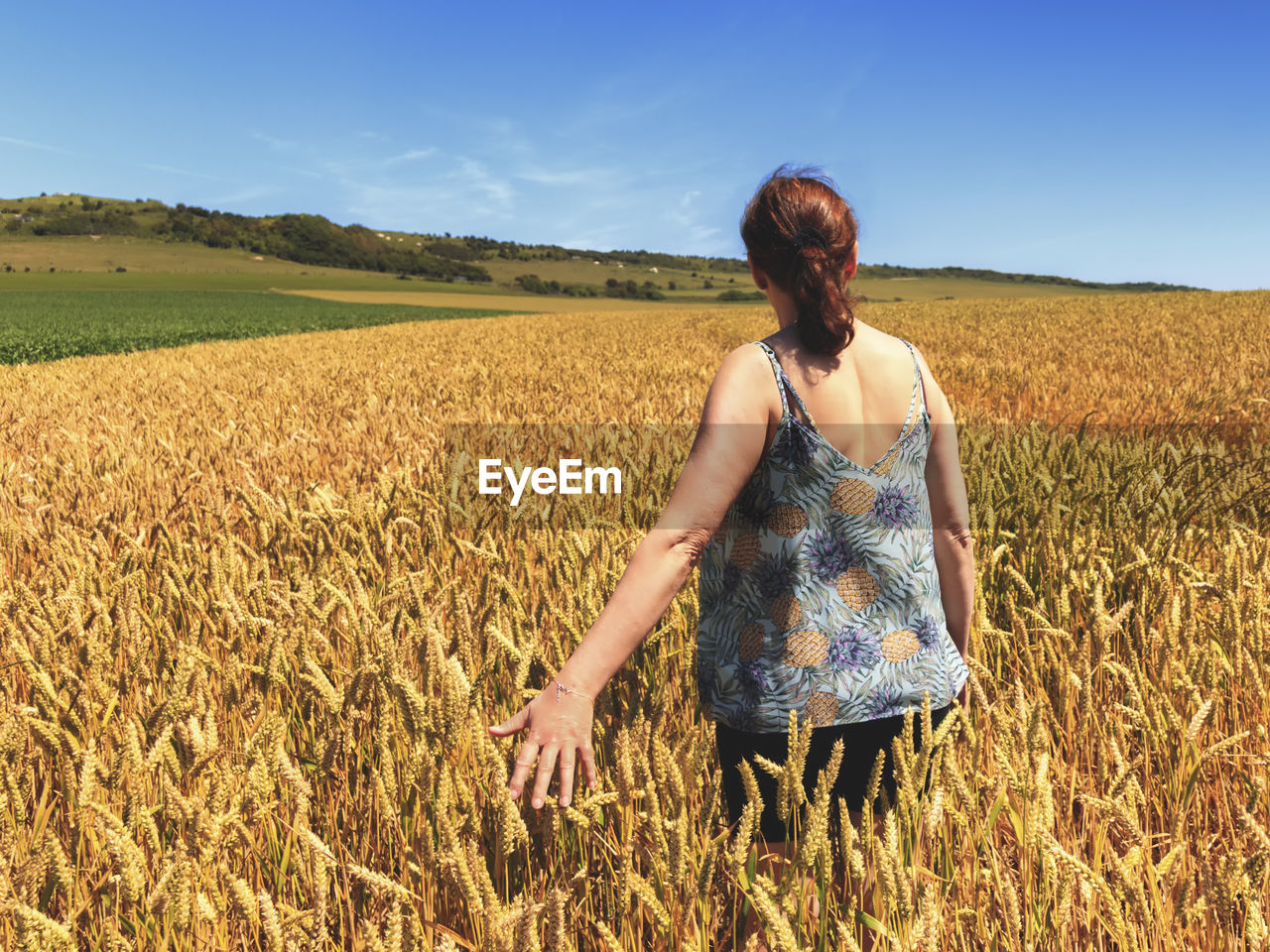 Rear view of woman standing by plants in farm against sky