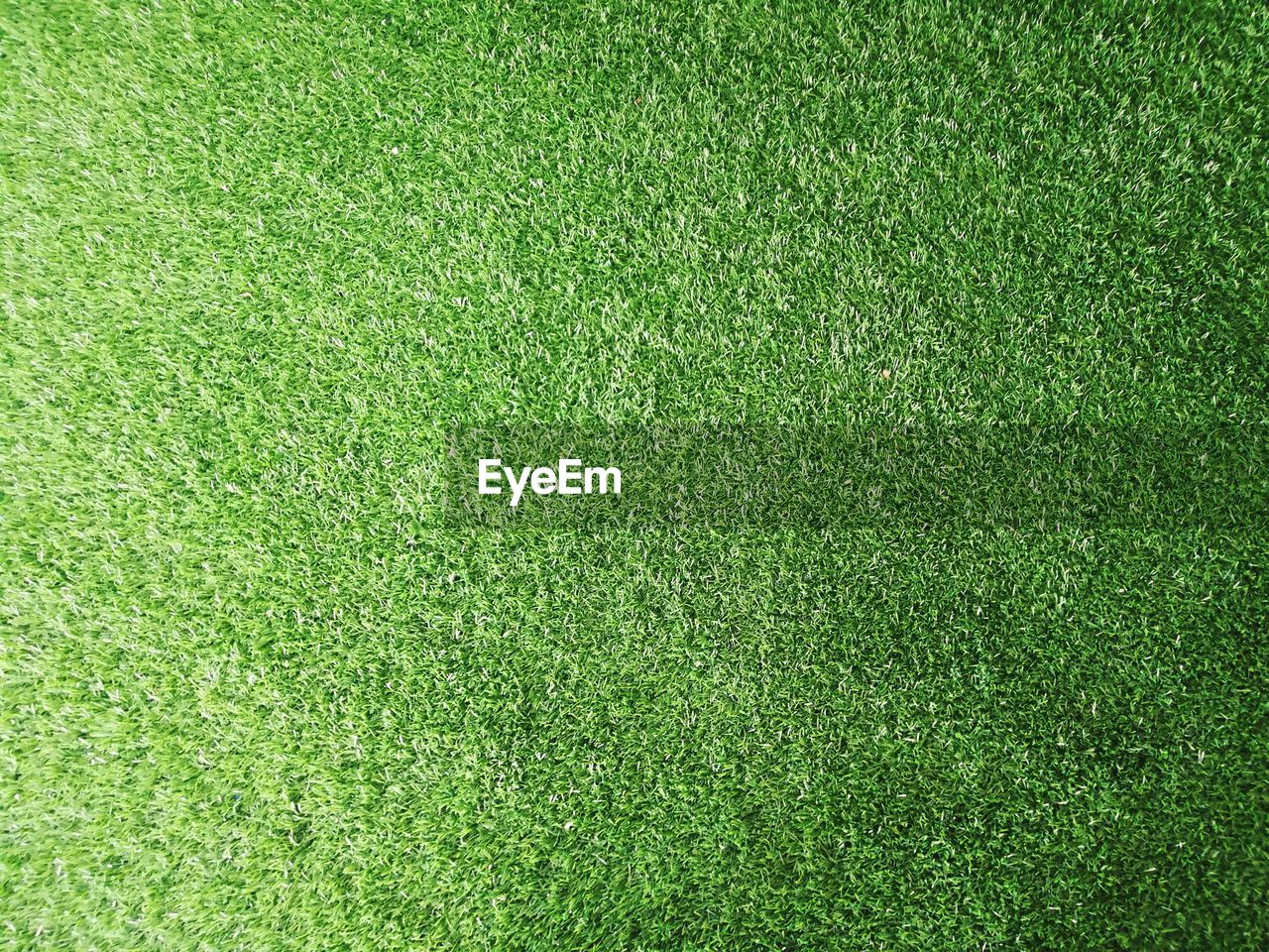 Full frame shot of grass
