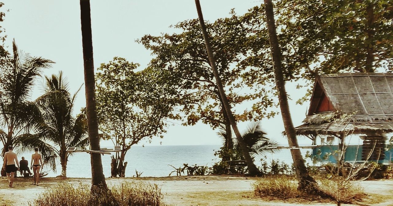 Palm trees by sea against sky