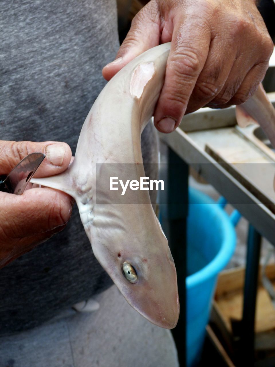 human hand, hand, human body part, vertebrate, fish, one person, real people, one animal, finger, close-up, human finger, holding, day, body part, fishing, high angle view, focus on foreground, outdoors, marine