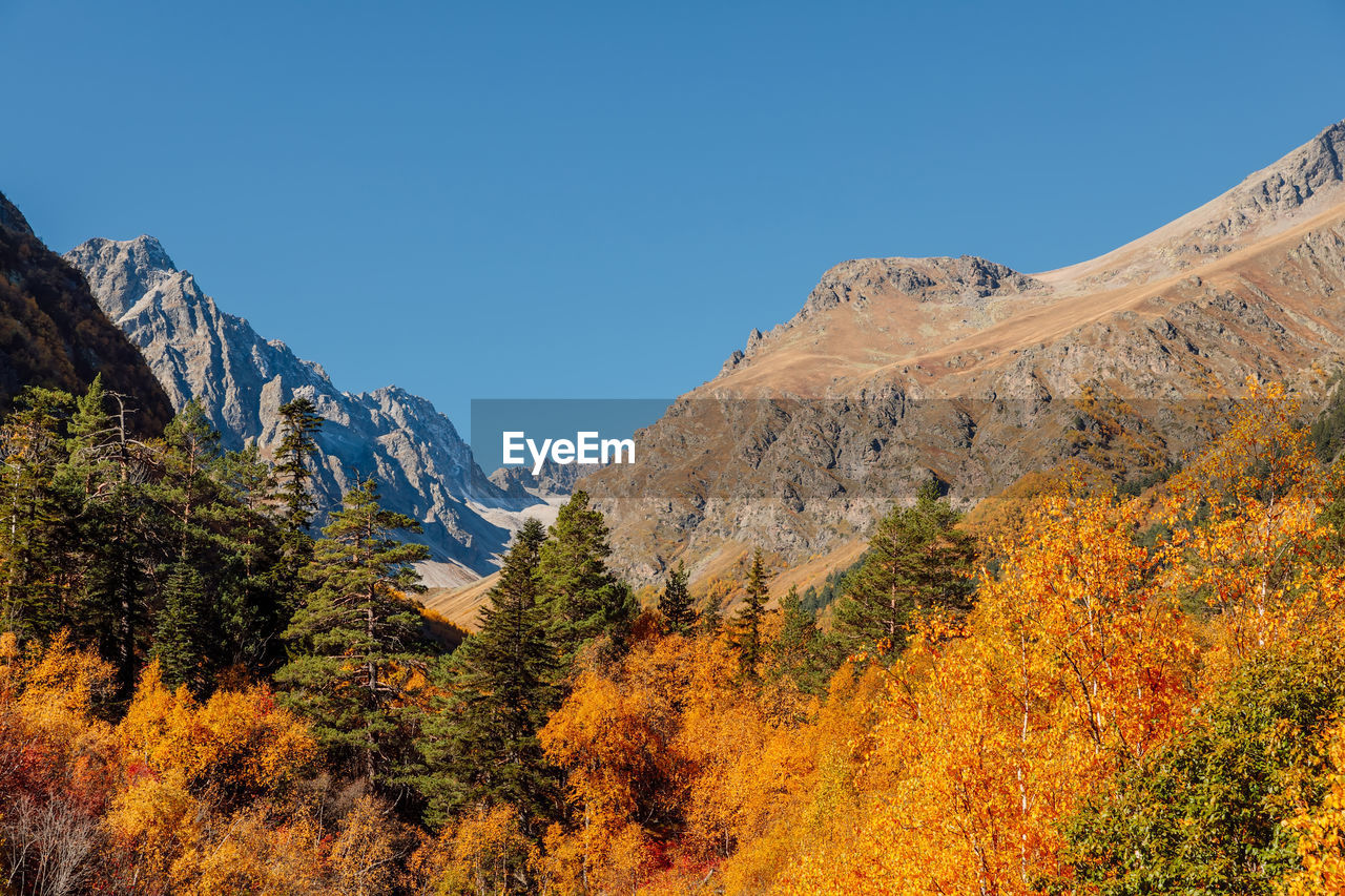 panoramic view of trees and mountains against clear sky