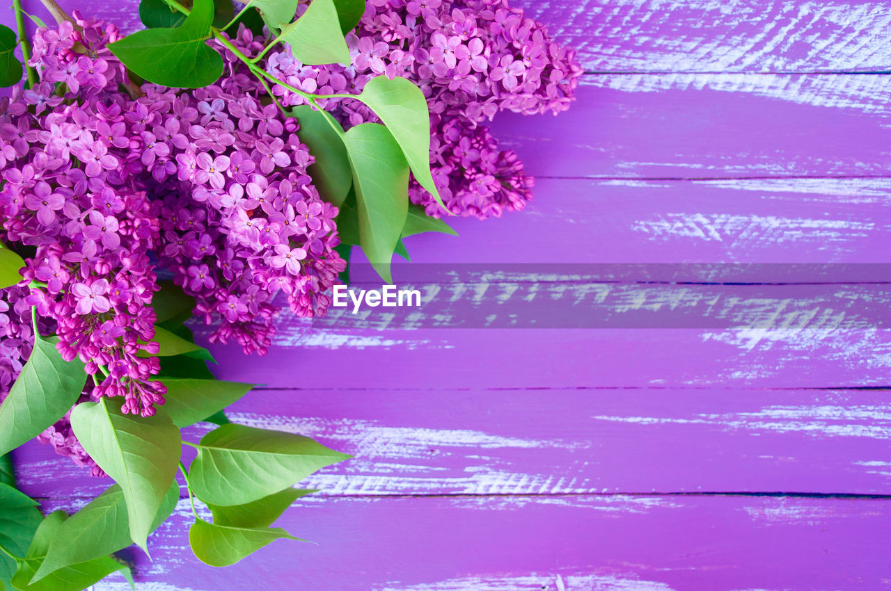 Directly above shot of purple lilacs on wooden table