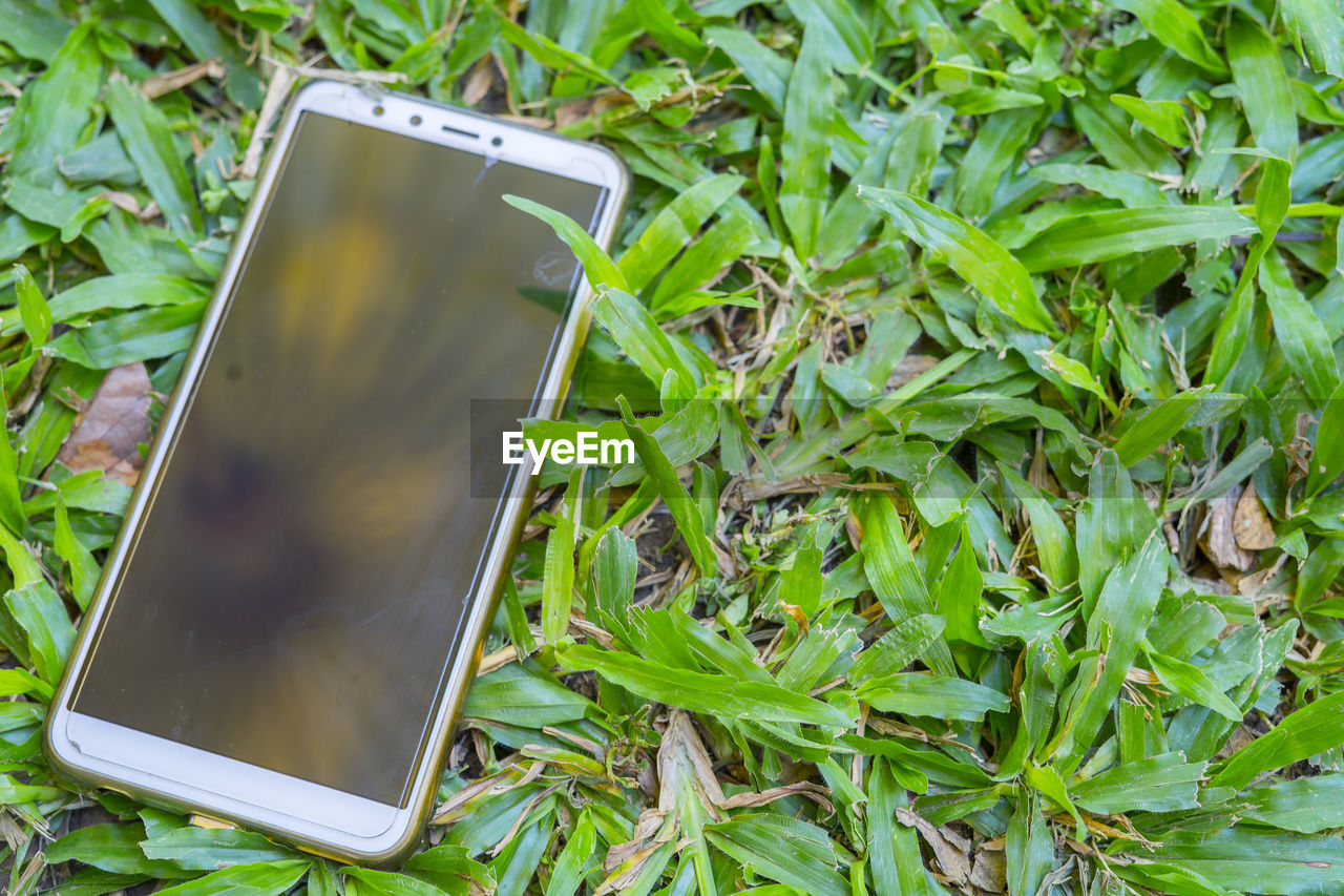 HIGH ANGLE VIEW OF MOBILE PHONE AND PLANT