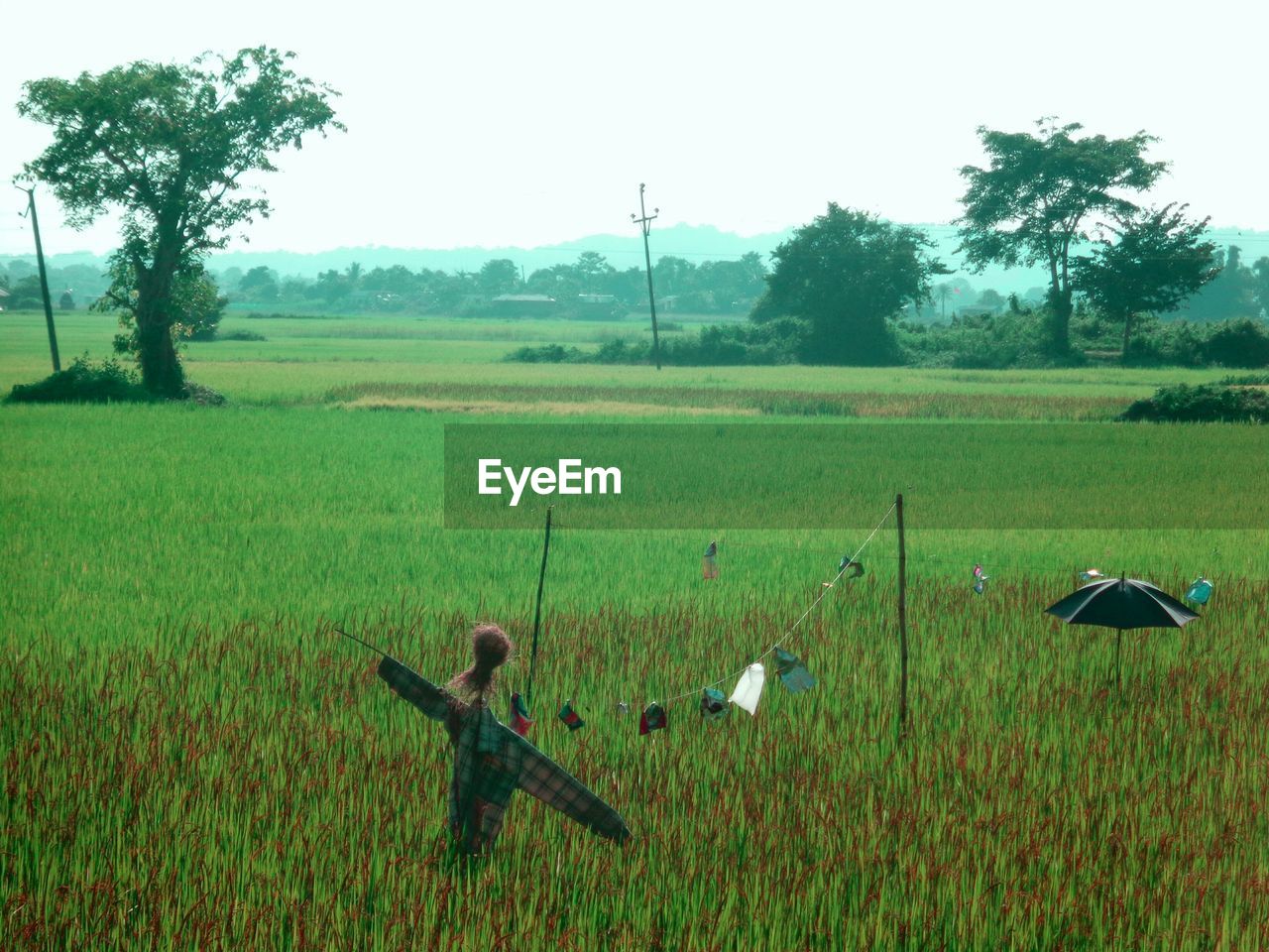 VIEW OF RURAL LANDSCAPE