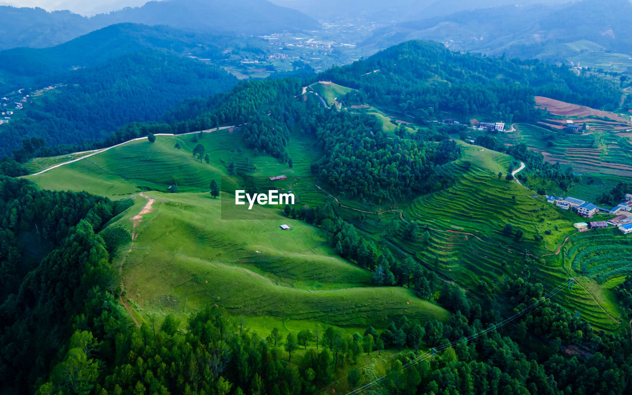 scenic view of agricultural field