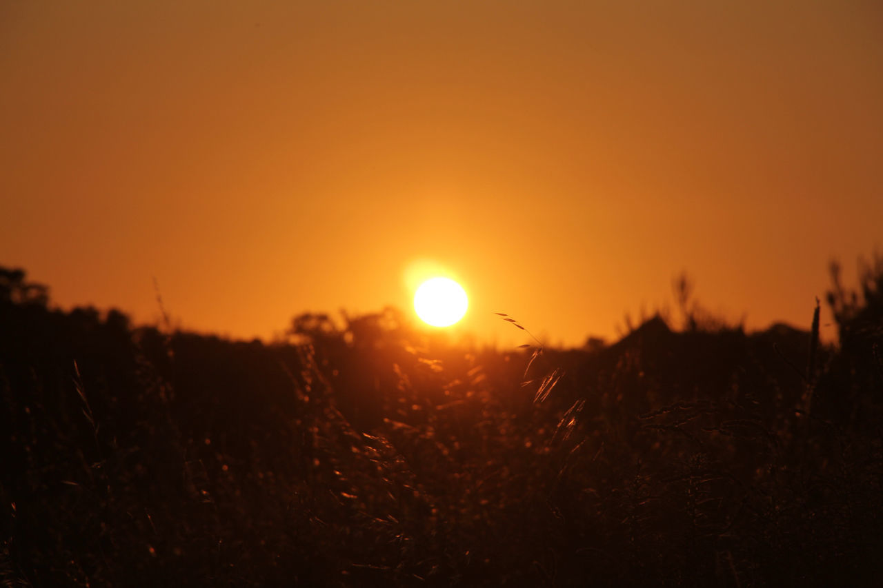 SCENIC VIEW OF SUNSET