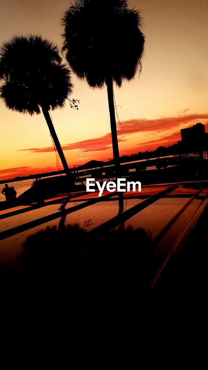 SILHOUETTE PALM TREES AT BEACH AGAINST CLEAR SKY