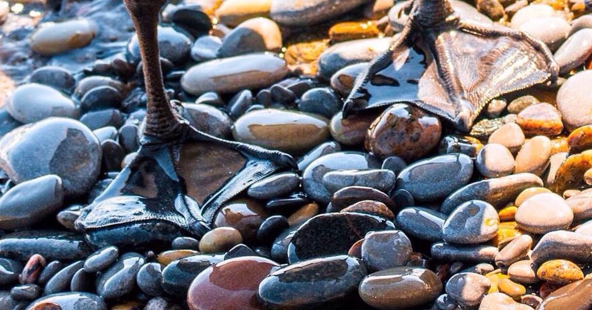 FULL FRAME SHOT OF STONES