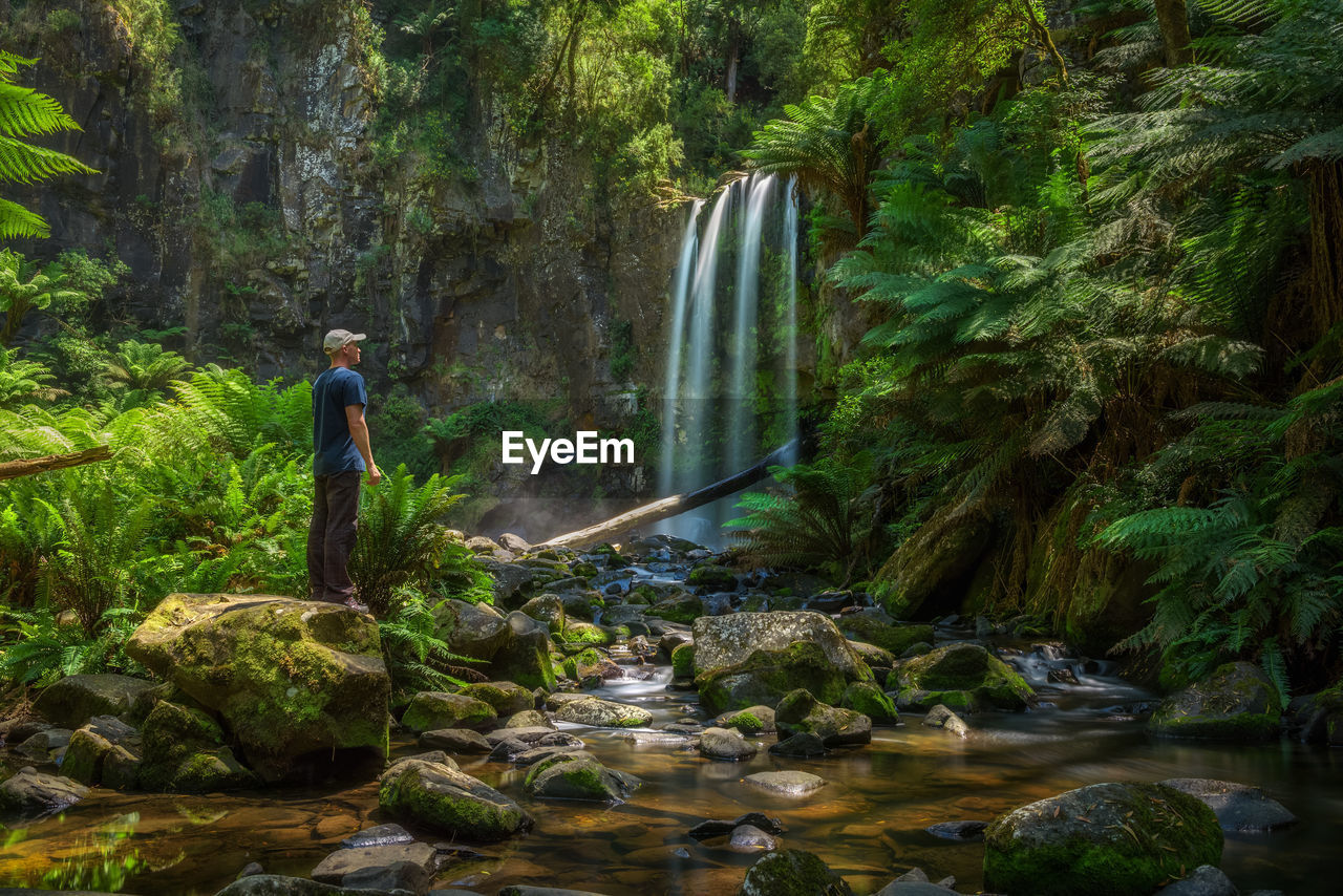 SCENIC VIEW OF WATERFALL AGAINST TREES