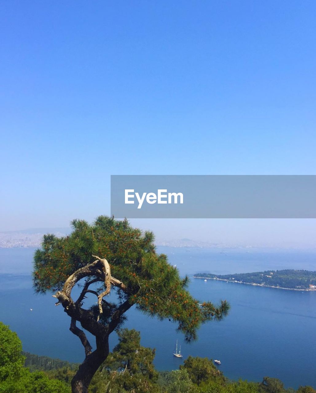 Scenic view of sea against clear blue sky