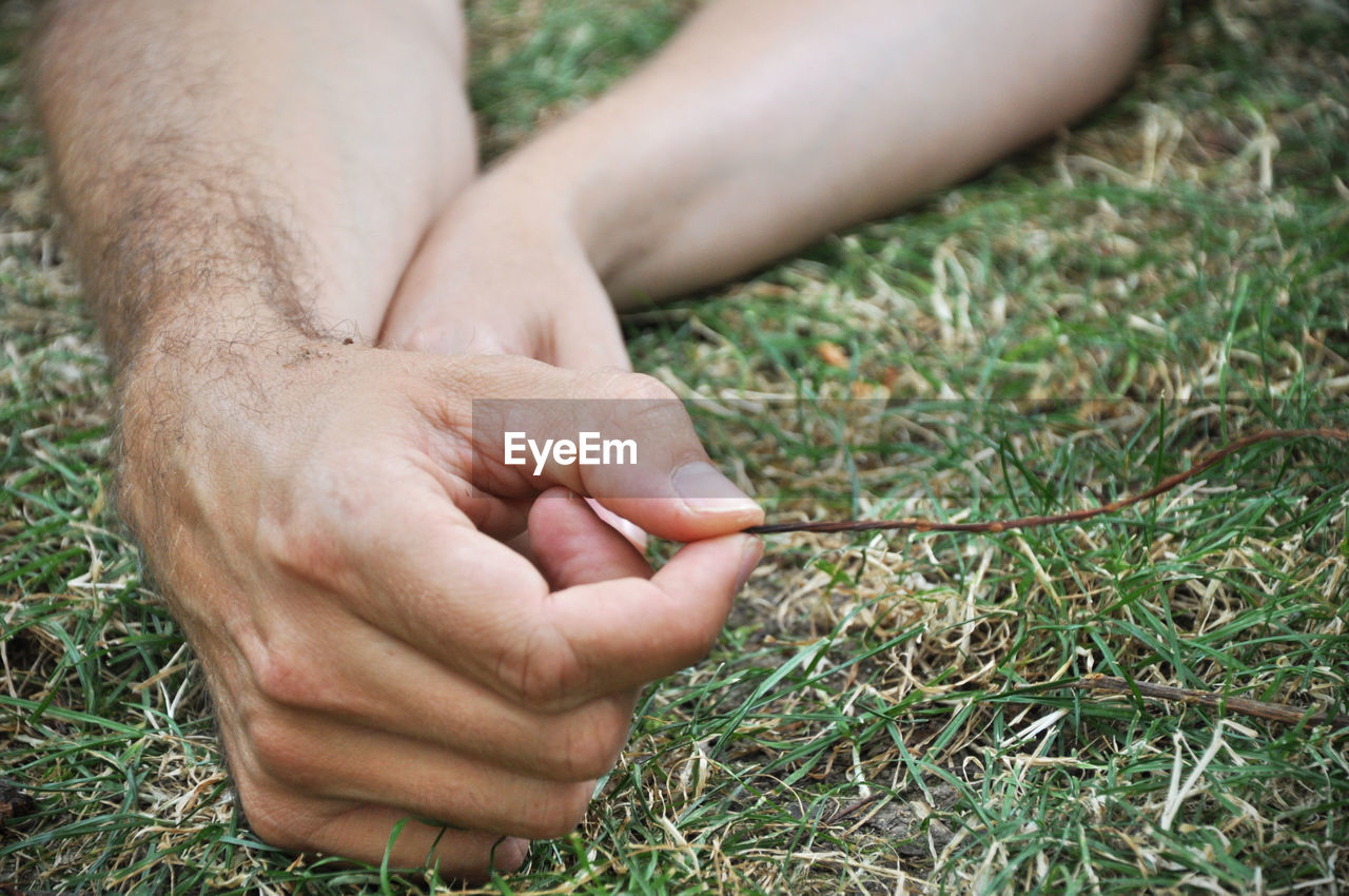 Close-up of man holding stem