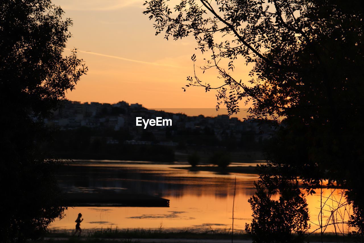 SILHOUETTE TREES BY LAKE AGAINST ORANGE SKY