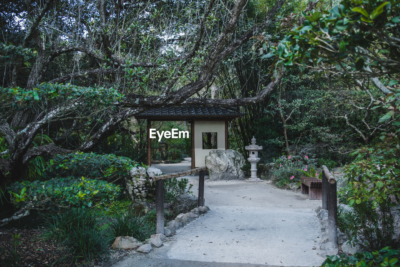 HOUSE IN FOREST