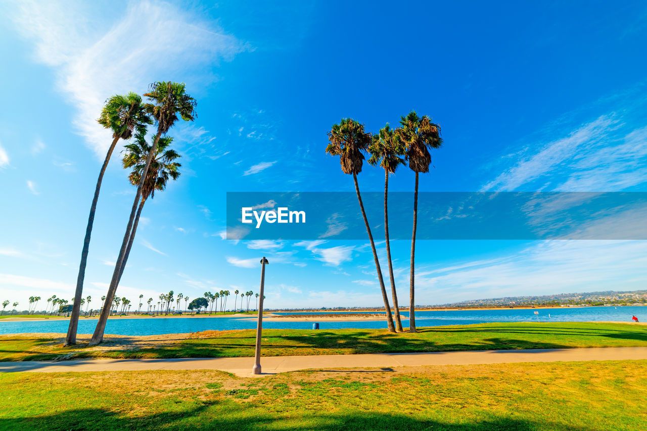 SCENIC VIEW OF BLUE SKY AND TREES ON FIELD