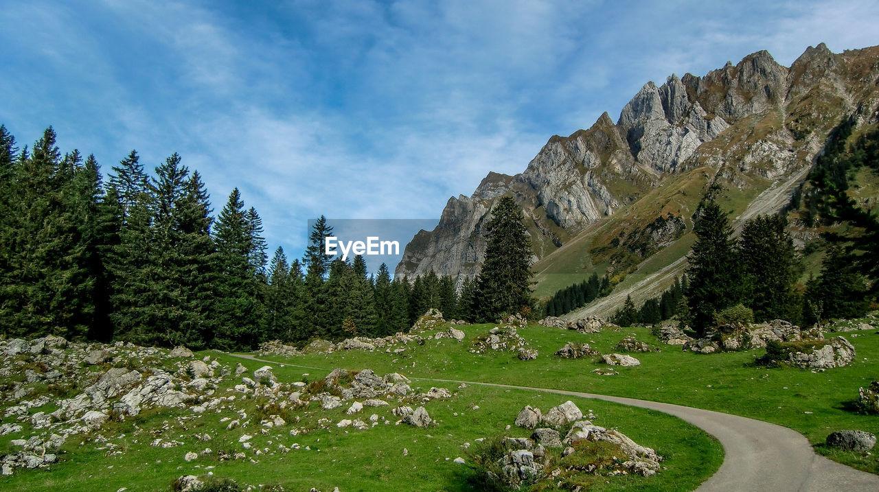 Panoramic view of trees on landscape against sky