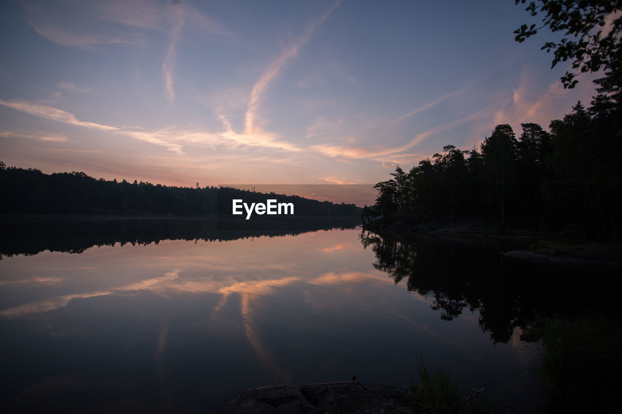 Reflection of trees in calm lake