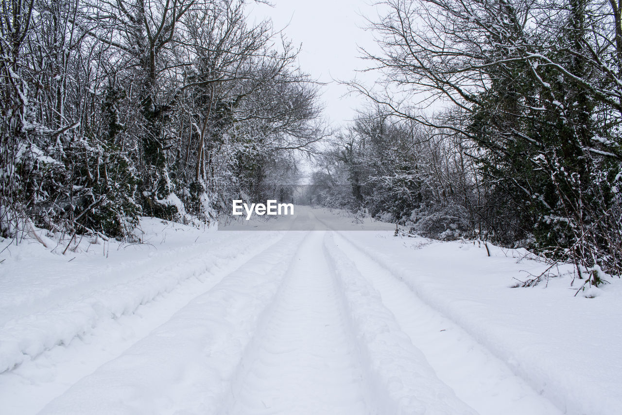 Snow covered road amidst trees during winter