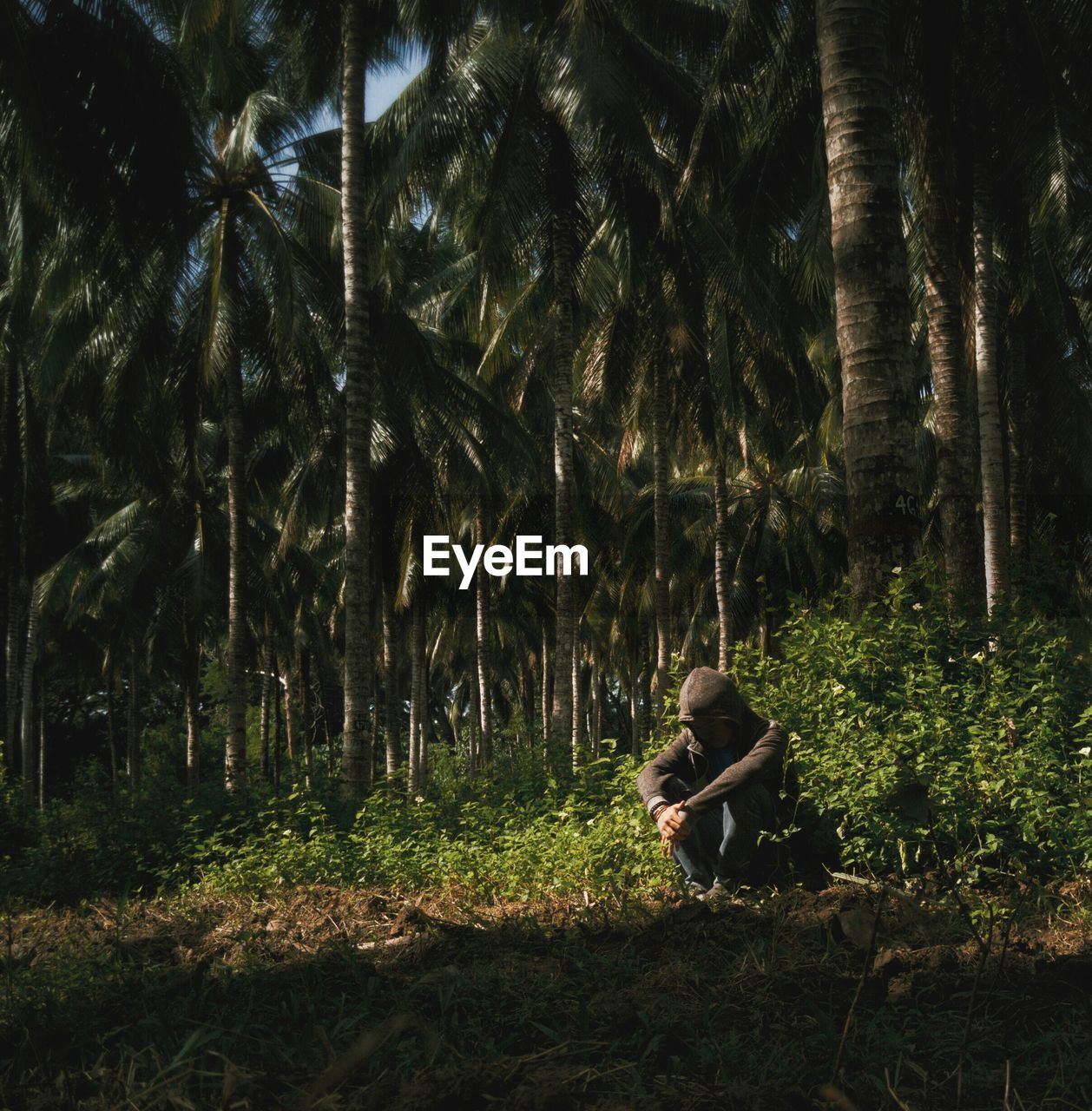 Man sitting on field against palm trees