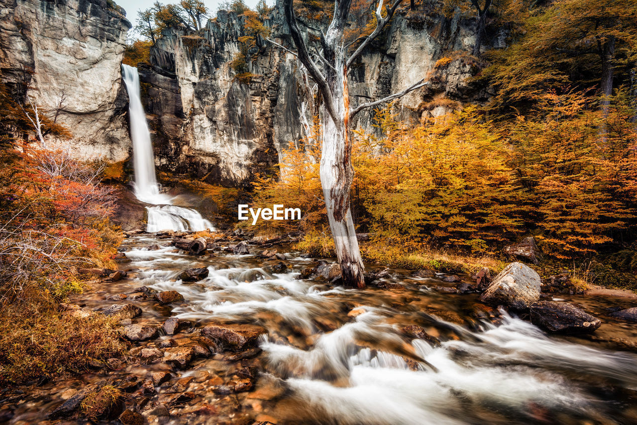 Stream flowing through rocks in forest during autumn