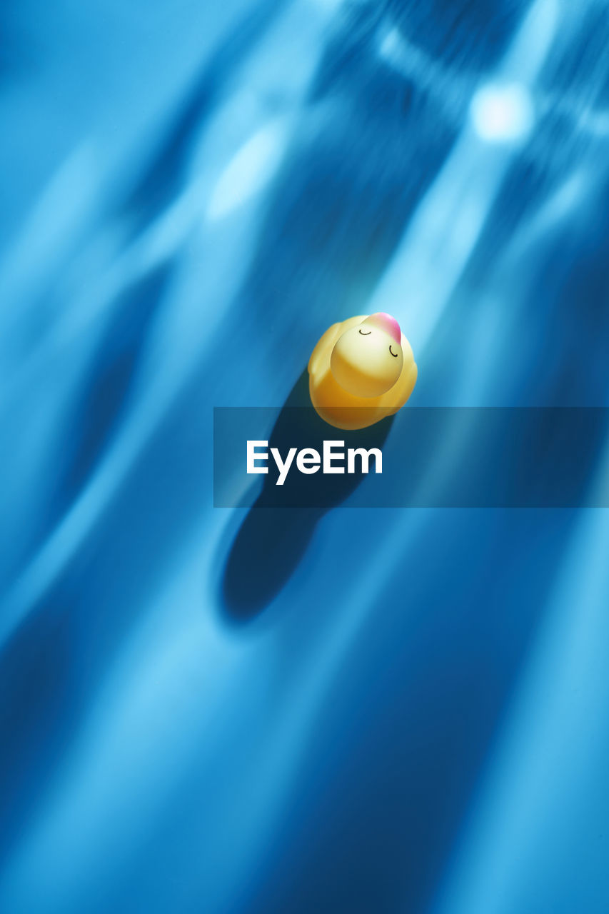 Yellow rubber duck against blue background
