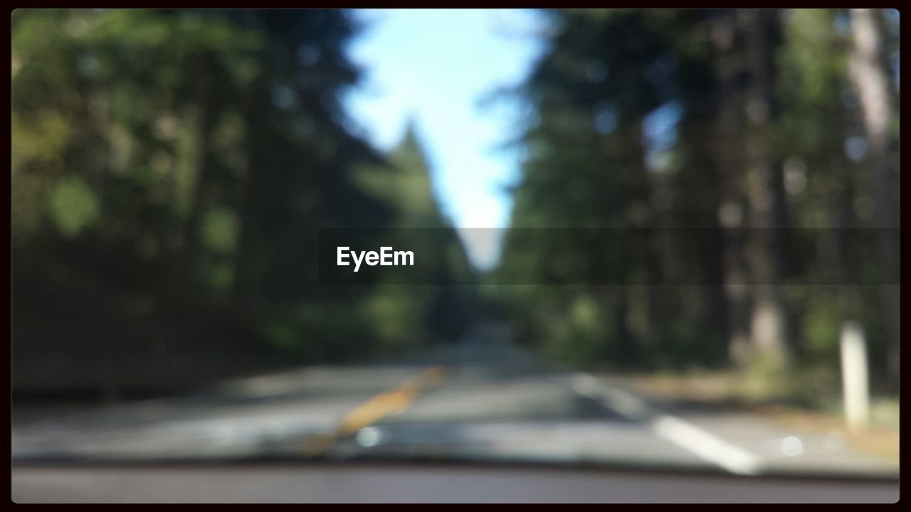 ROAD PASSING THROUGH TREES