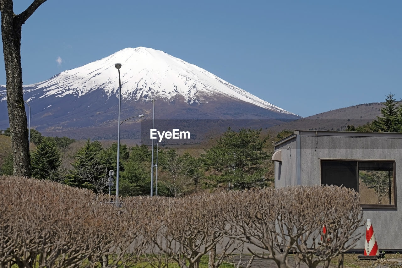 Scenic view of grassy field against clear sky