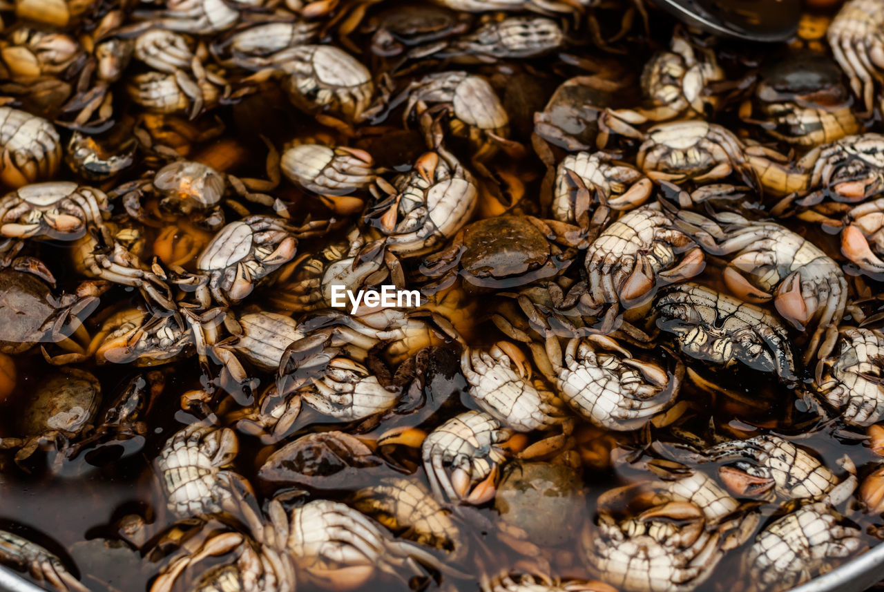 Full frame shot of seafood in market for sale