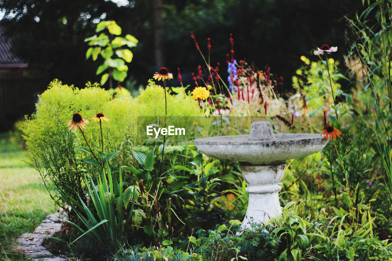 View of sculpture in garden