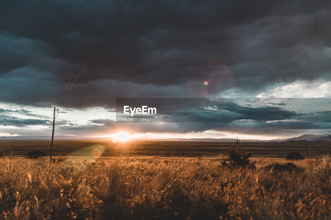 Scenic view of field against sky during sunset