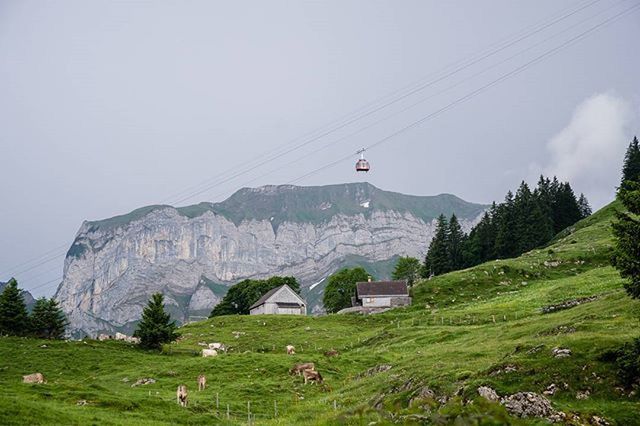 SCENIC VIEW OF MOUNTAINS