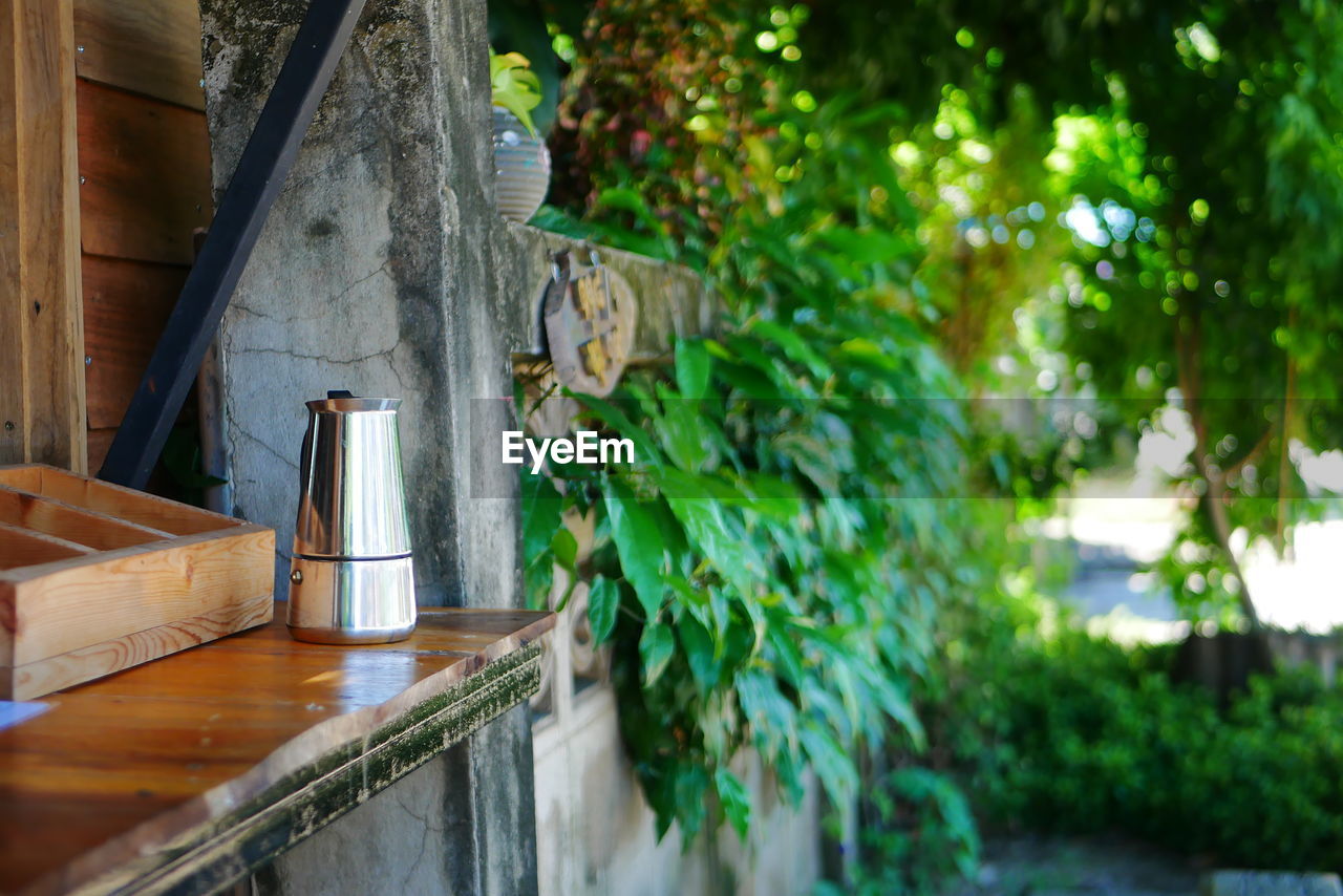 WOODEN TABLE BY PLANTS