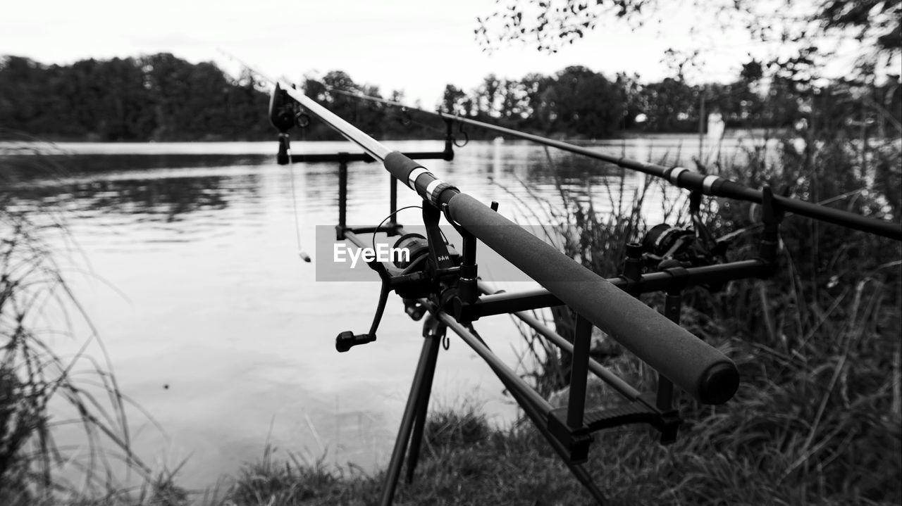 HORSE CART ON LAKE