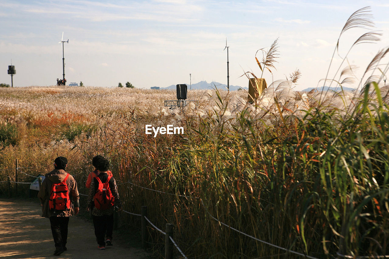 Rear view of man and woman footpath