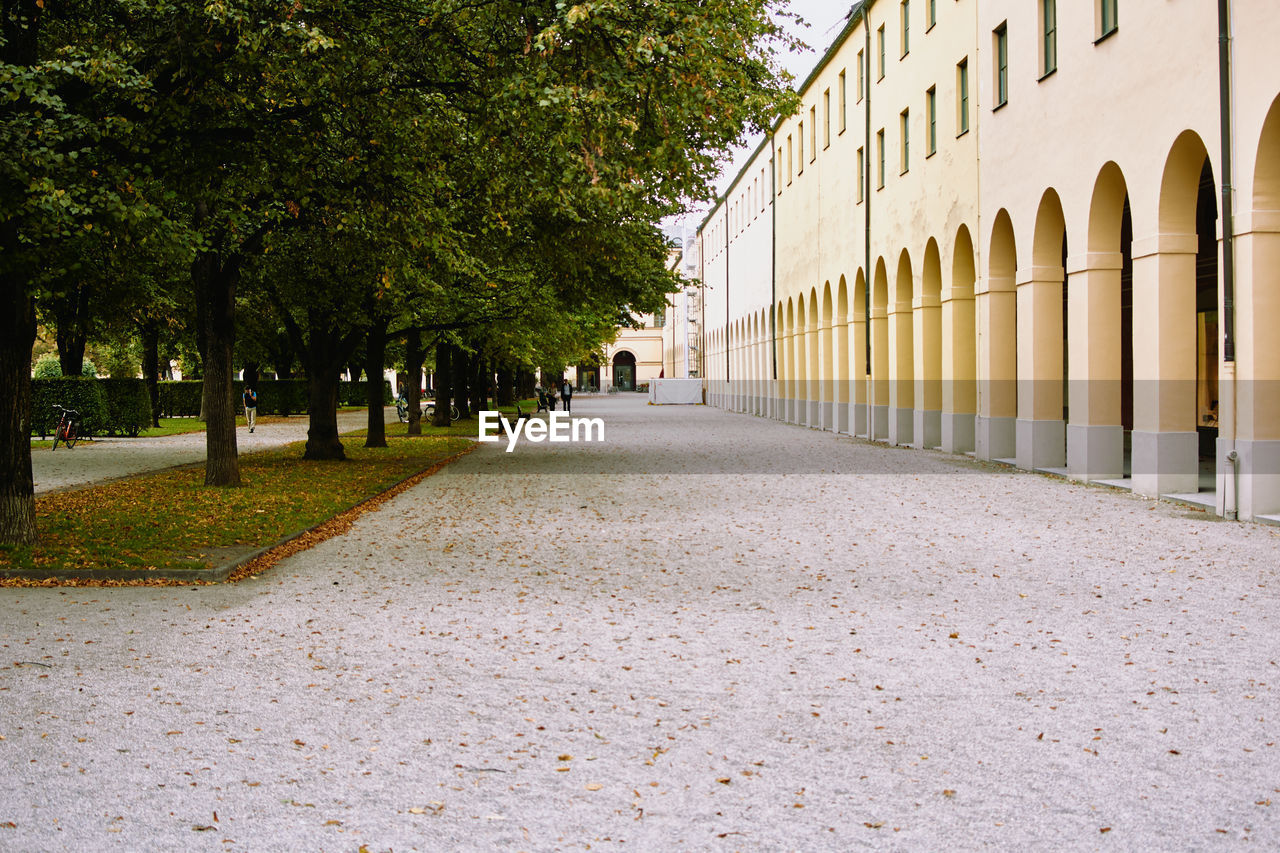 Road amidst trees and buildings in city